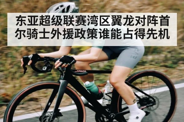 东亚超级联赛湾区翼龙对阵首尔骑士外援政策谁能占得先机